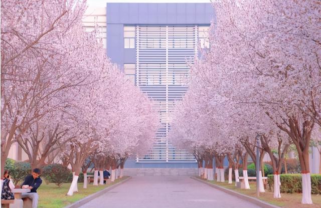 西安石油大學宿舍,西安石油大學宿舍條件怎麼樣—宿舍圖片內景(西安有