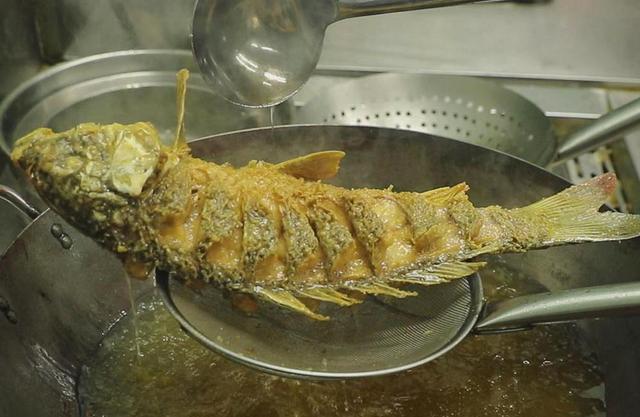 怎么吃才能补充足够的蛋白质，优质蛋白“常见食物”