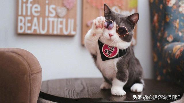 上班恐惧症怎么治，上班恐惧症怎么克服（早上很累想跟领导申请居家办公时的内心恐惧）