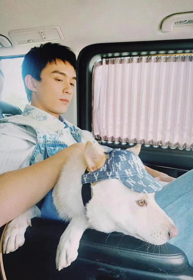 吴磊是怎么出名的，从童星到实力派演员