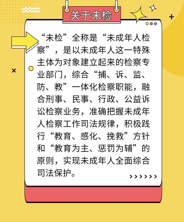 正能量又不俗的团队名字，正能量又不俗的小组名（佛山未检来了“新成员”）