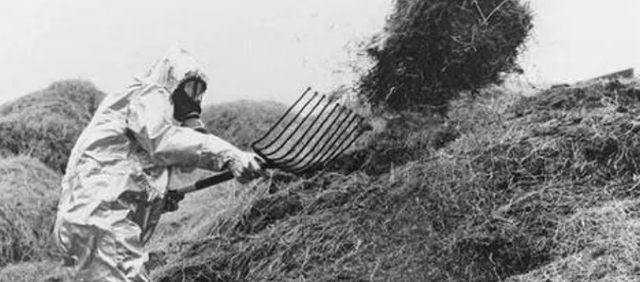 什么是切利诺贝尔事件，切尔诺贝利事件是人为的吗（史上最严重的核污染事件——切尔诺贝利事故）