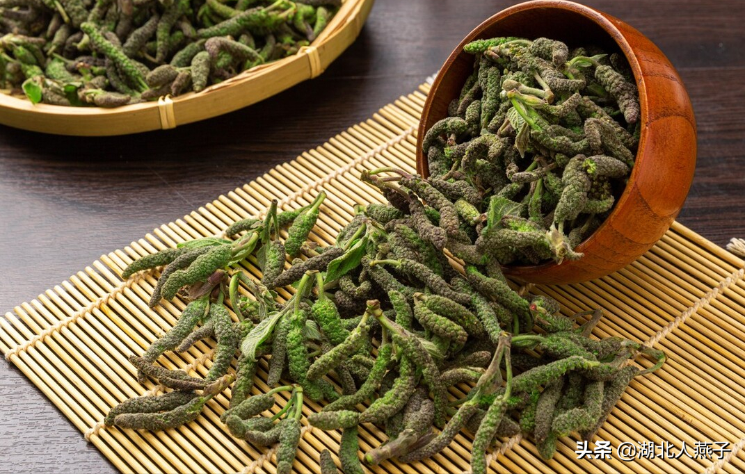 400种野菜采摘图鉴(夏季野菜大全) - 彝家农业网