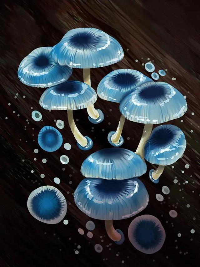 蓝瘦香菇表情包，三种香菇头表情包（这是蓝瘦香菇的本尊了）