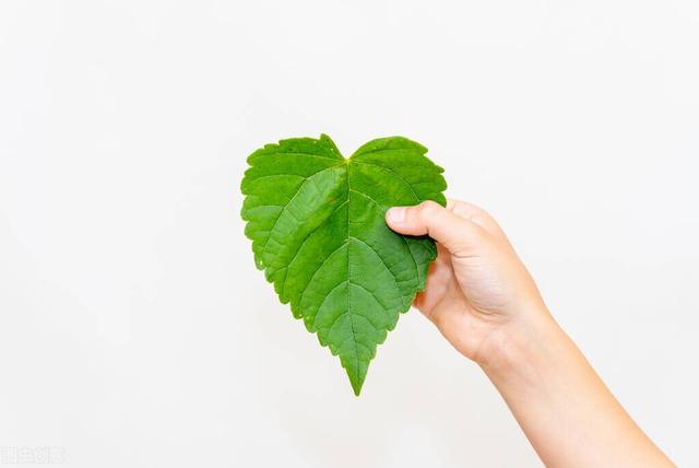 世上最浪漫的十句情话，很小众却很惊艳的句子（十句浪漫情话）