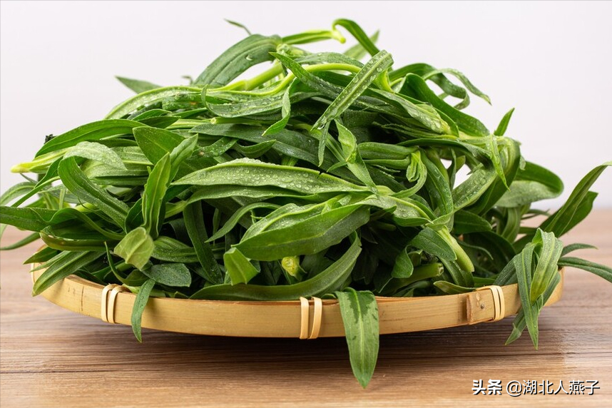 秋季野菜大全带图片(食用野菜图片介绍大全)-娱宸网