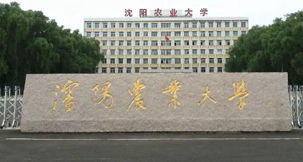 沈阳农业大学电气工程及其自动化怎么样啊，沈阳农业大学有哪些专业和院系（优势专业不及热门专业）