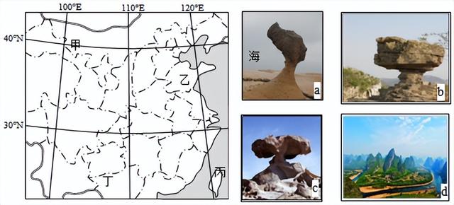 世界八大珍稀植物，2023届高考地理题型突破——必修一