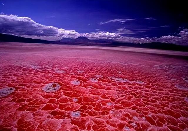 世界上最危险的地方，全球危险又神秘的12个地方（盘点地球上最危险的8个地方）