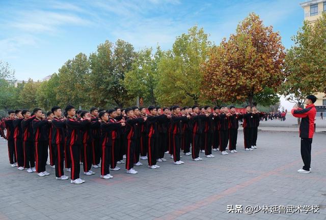 学习传统武术的好处，学中国武术的好处（常年习武，有益身心，好处多多）