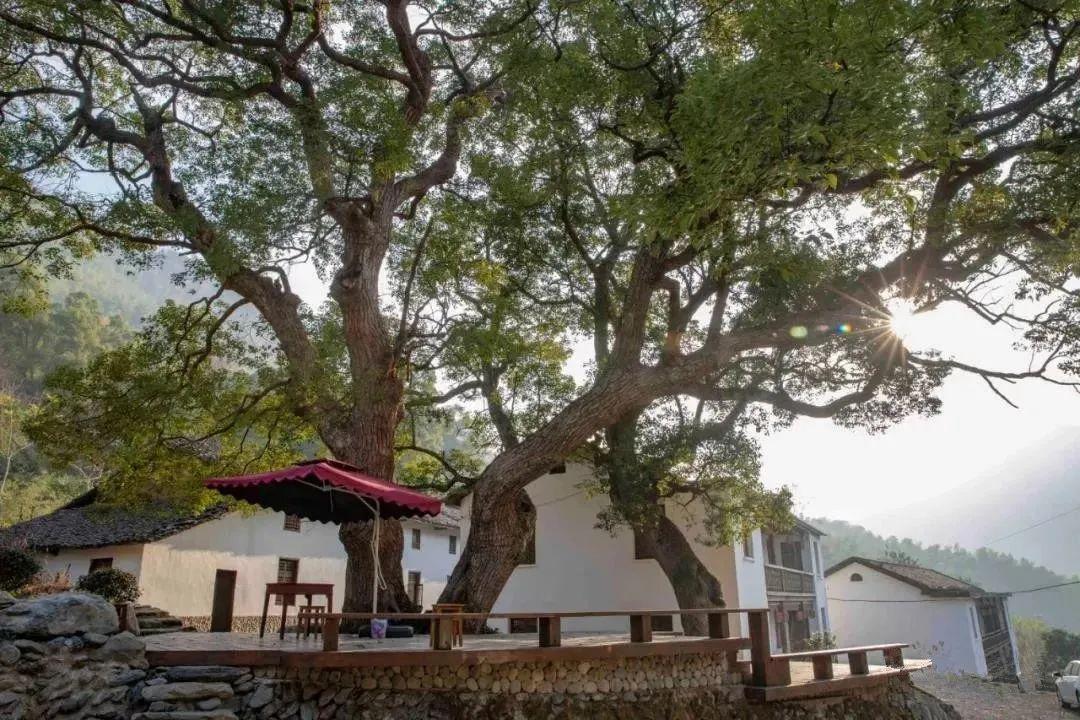浔阳旅游景点，清凉一夏·追浔季丨九江这12个隐世古村