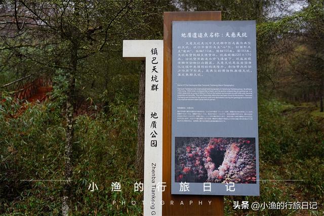 万亩油菜花海游玩攻略，奔赴川陕交界的巴山秘境