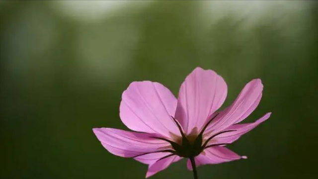 朋友不想搭理你的表现，好朋友疏远你的表现（打心底里瞧不起你）