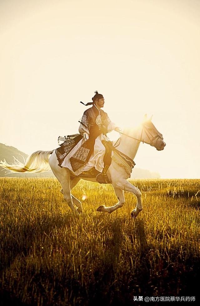 过路黄的功效与作用，过路黄的功效与作用！（用于排石汤；清热利湿能退黄）