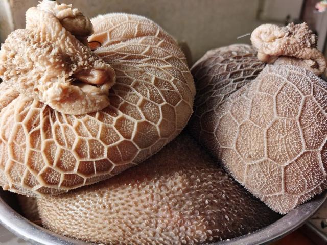 新疆美食有哪些，新疆的美食有哪些（新疆的10样“西域美食”）