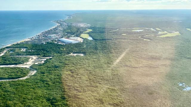 恐龙灭绝的原因是什么，恐龙是怎么灭绝的原因视频（恐龙灭绝的元凶起争议）