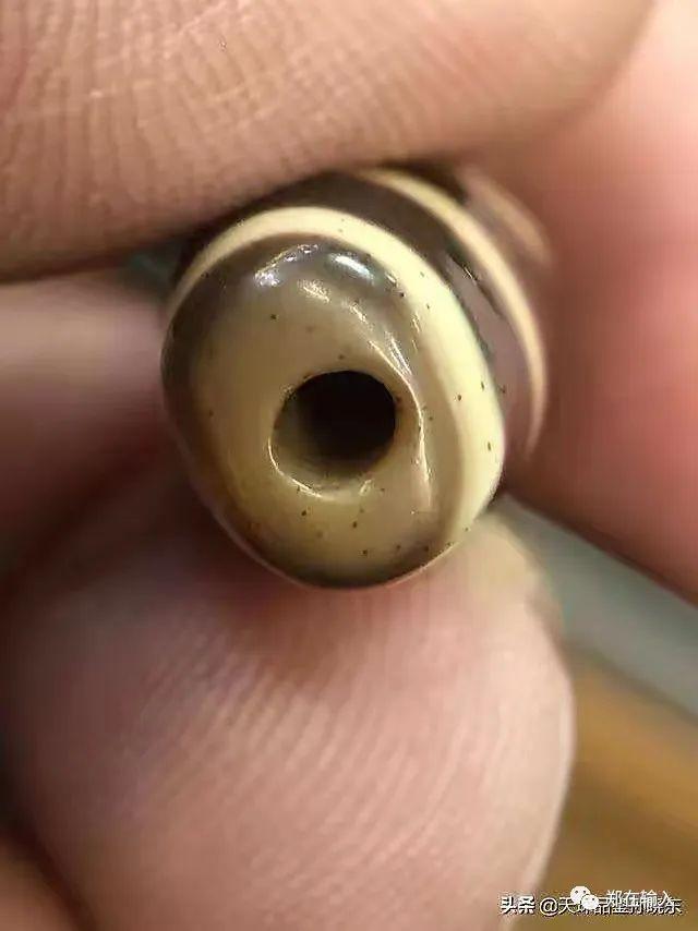 神奇海螺什么梗，神奇海螺是什么梗（我的城市消弭了包浆）