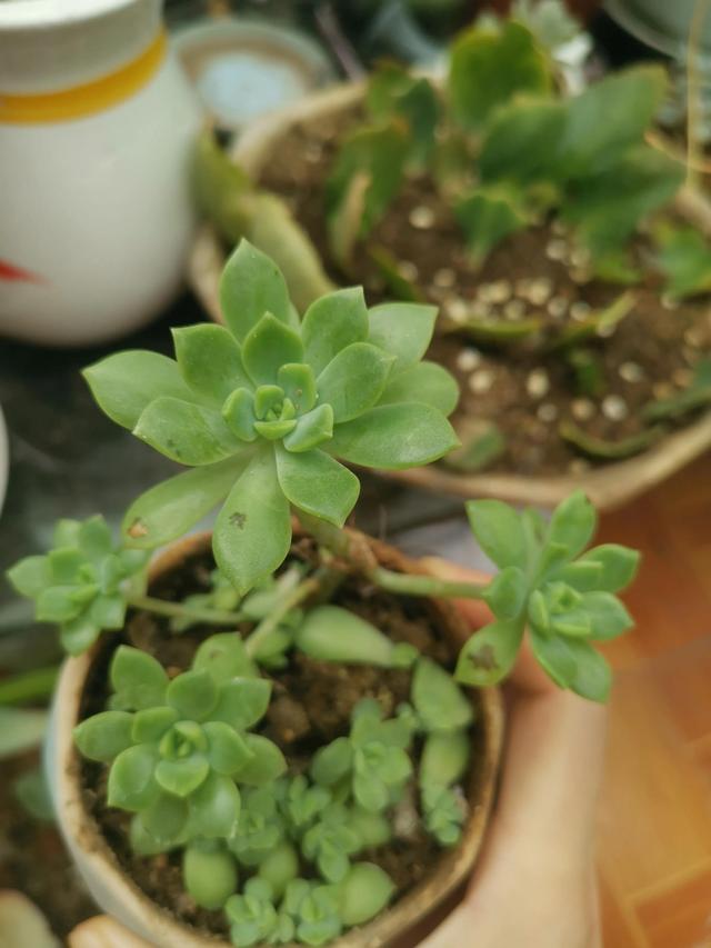 有哪些好听的网名，好看又好听的网名400个（都是些什么名字呢）