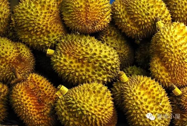 榴莲软成泥了还能吃吗 榴莲怎么看坏没坏，榴莲软成泥了还能吃吗（榴梿难闻却好吃）