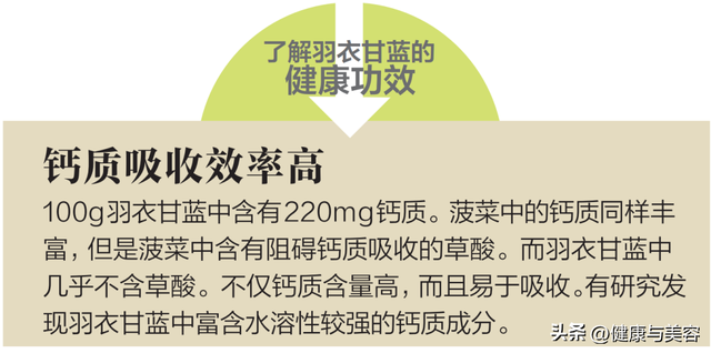 甘蓝菜的营养价值，甘蓝菜的营养价值（详解抗氧化蔬菜羽衣甘蓝）