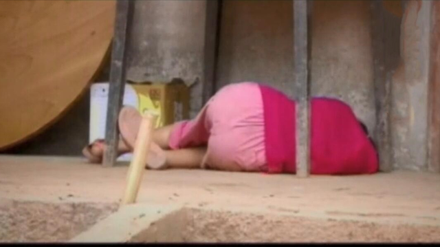 什么蛇是苦命蛇，什么龙是苦命龙（叫声恐怖撕咬父母）