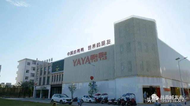 共青城属于哪个市，江西省九江市共青城属于哪个县（“一座温暖全世界的城市”）