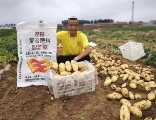土豆皮红色的怎么回事，土豆皮有点红色（土豆发芽还能吃吗）