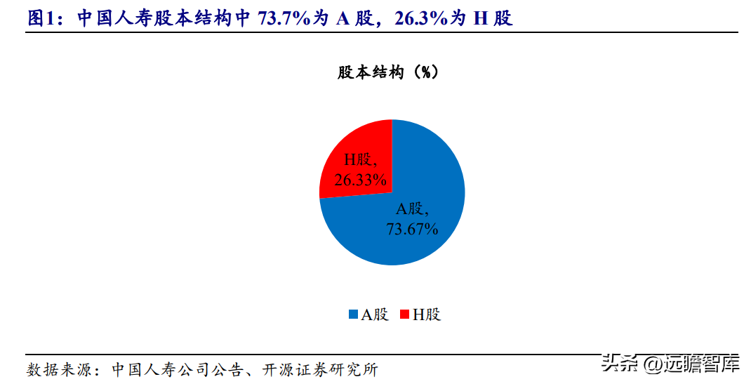 人寿保险股份有限公司（传统寿险龙头）