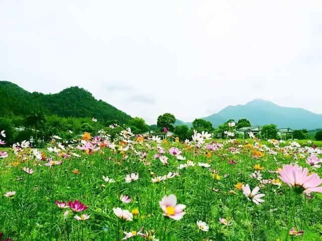 河源一日游路线攻略，广州出发-河源2天游