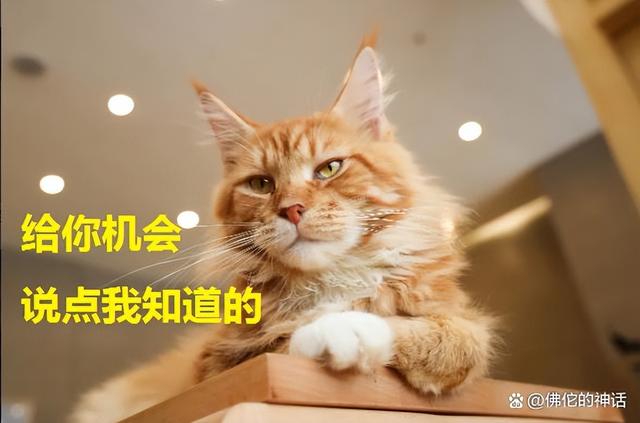 伽利略三大定律，牛顿三大定律与理论（为什么这些定律可以描述物体的各种运动）