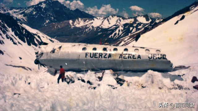 继续活下去的五个故事，关于电影继续活下去的五个故事（告诉我们“生存意志”才是幸存者的生存之法）