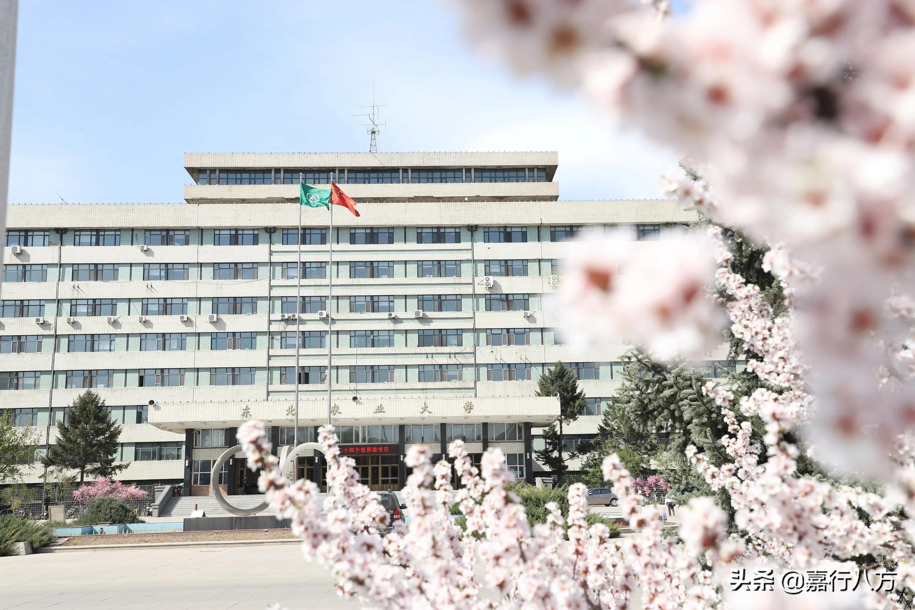 东北农业大学（东北农业大学怎么样）