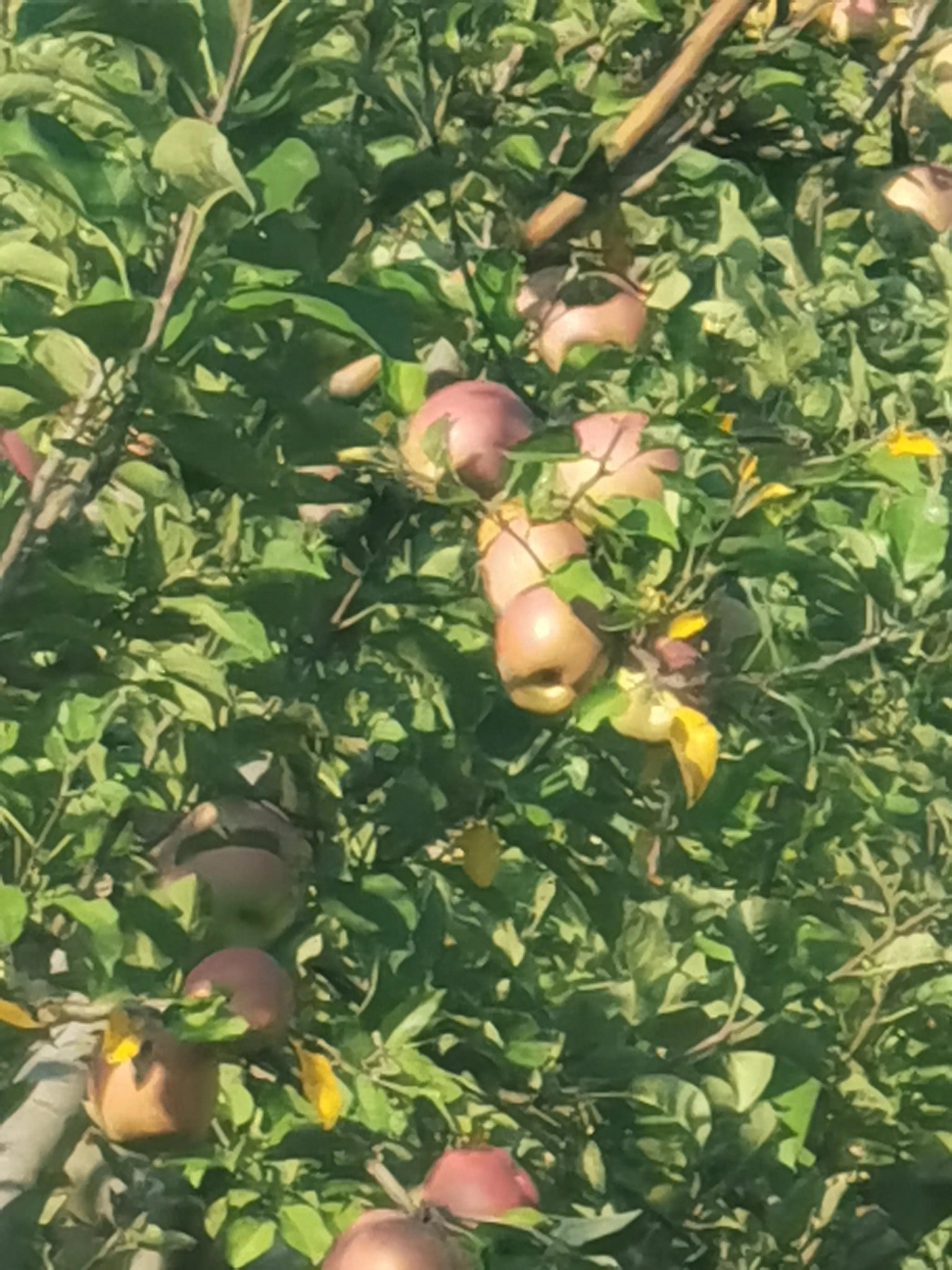 大學生考證的好處（大學學生考證有什么好處）