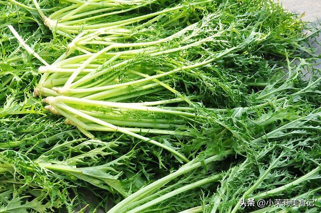 雪菜的腌制方法，雪菜的腌制过程（只放盐容易发黄变质）