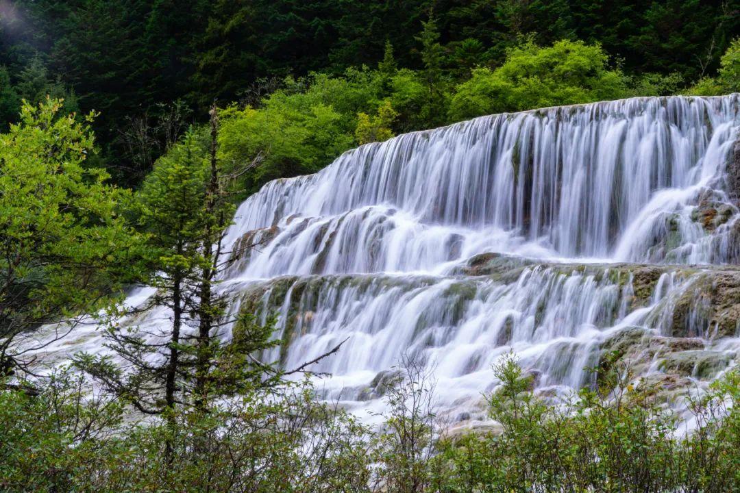 九寨沟诺日朗瀑布介绍(四川,"最伟大的作品") - 三江带