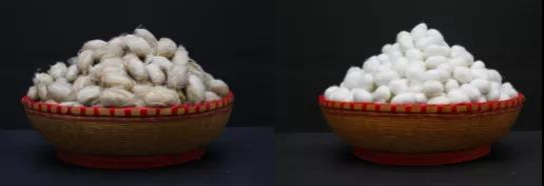 蚕丝被品牌有哪些(有名的蚕丝被品牌)