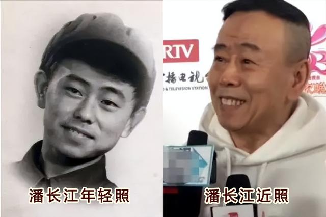 常青树有哪些，冬天常青树有哪些（10位春晚常青树今昔照）