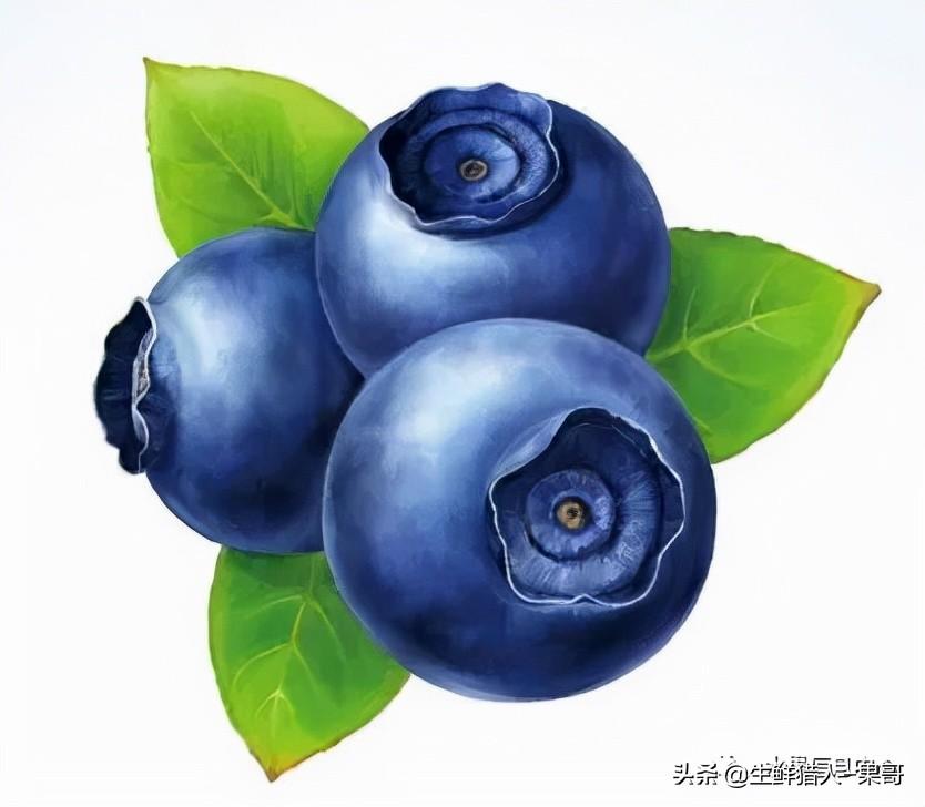 浆果是什么，浆果是什么软件（不同水果的不同包装<浆果篇>）