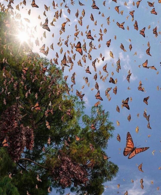 墨西哥为什么说西班牙语，墨西哥人说什么语（带你看看真实的墨西哥）