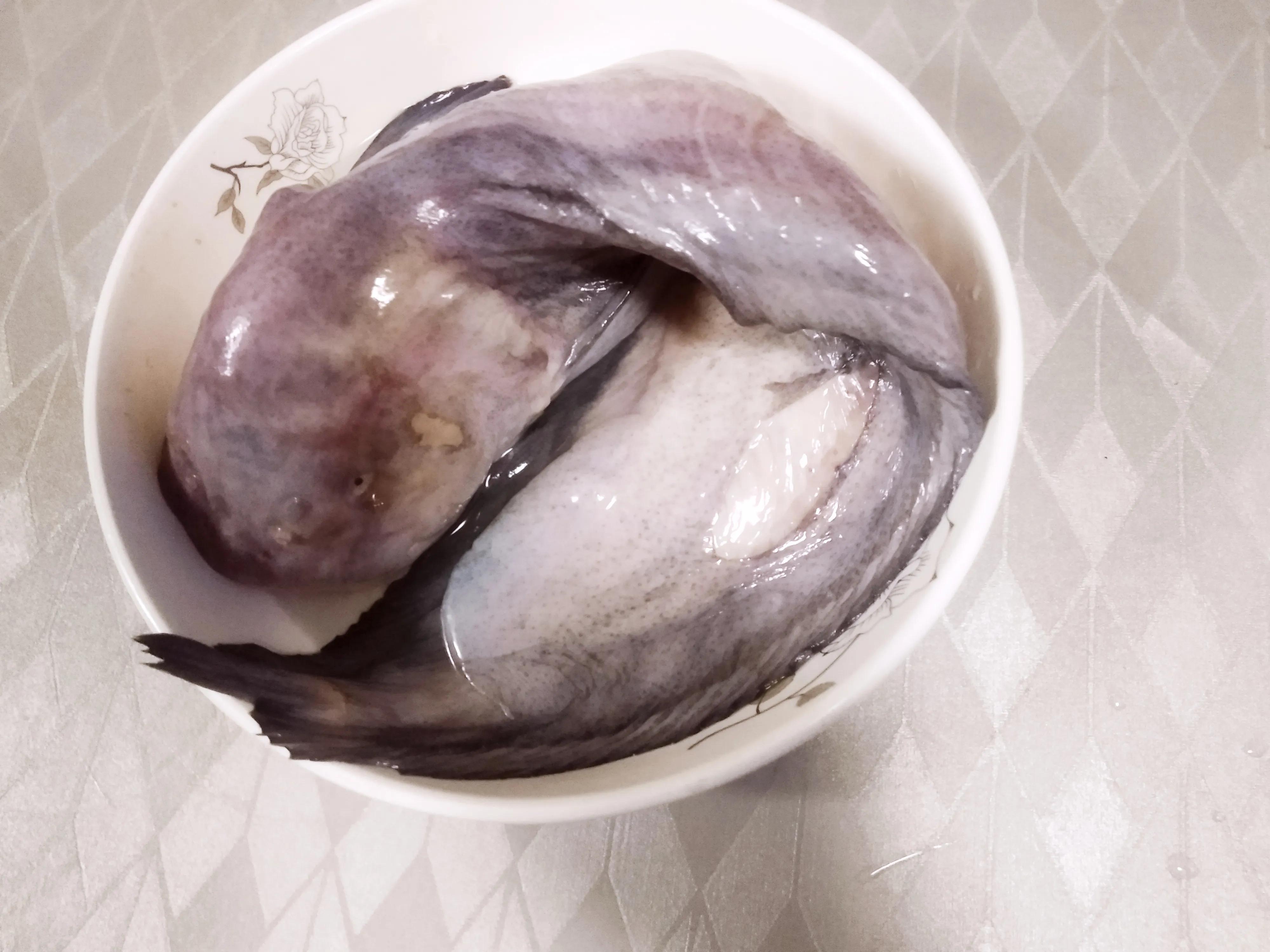 5,兔子鱼(鮸鱼)
