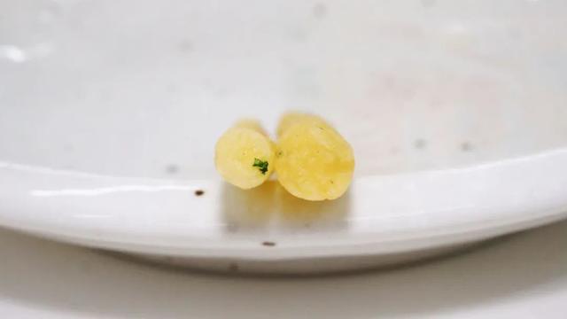 到日本必买的几款零食，2022吃货必买的日本新品零食