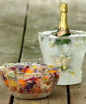 自制冰块的做法，自制冰沙的做法（用“冰”打造爽口菜肴）