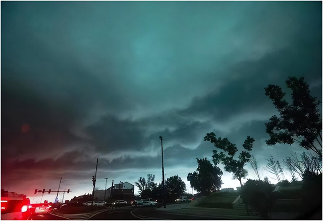 最恐怖的云，最恐怖的动物（河南出现神秘“糙面云”）