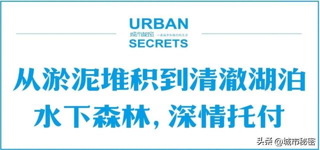 八载图片保护有哪些，八载图片保护怎么设置（西湖保护70年）