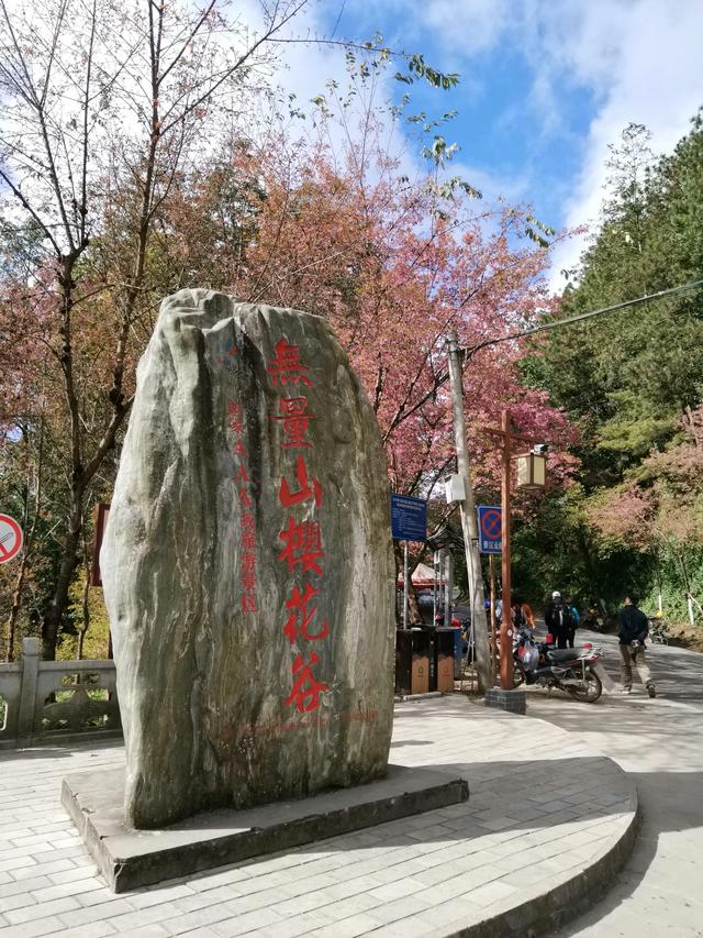 浪漫樱花唯美图片，图片樱花 唯美（大理还有浪漫樱花）