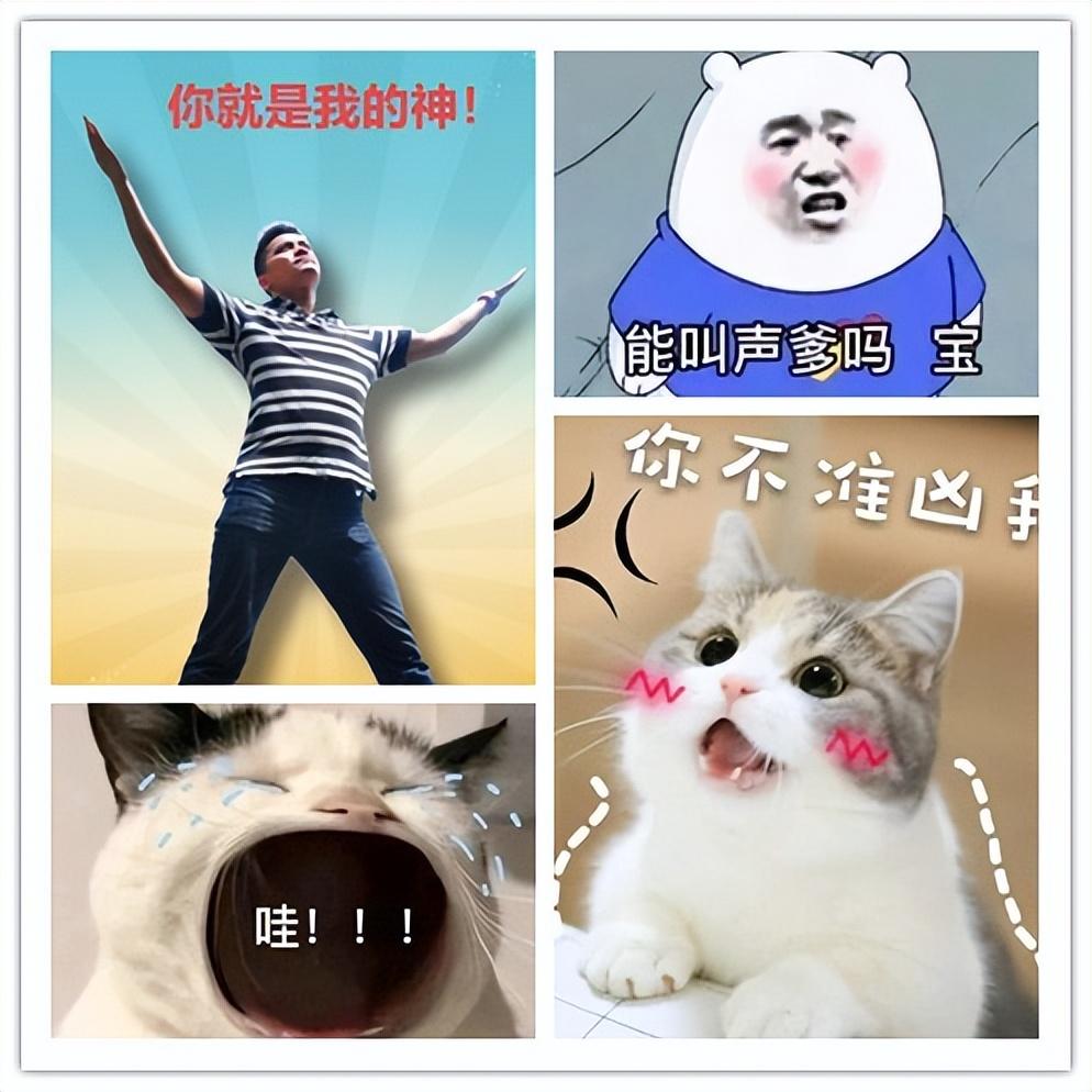 表情包制作(免费表情包制作)