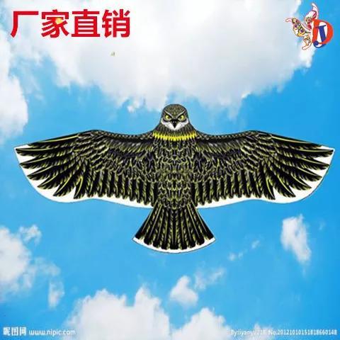 制作风筝的建议步骤，建议风筝做法（自制风筝）