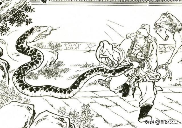 蛇的故事，打草惊蛇的故事（九千岁天狐VS五千岁巨蟒）