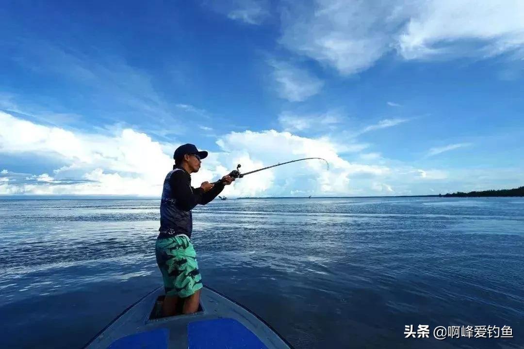 搜鱼（翘嘴鱼扎根四川第二大淡水湖）