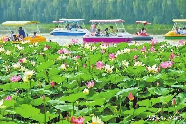 河北廊坊旅游景点大全排名，廊坊最美景区推荐